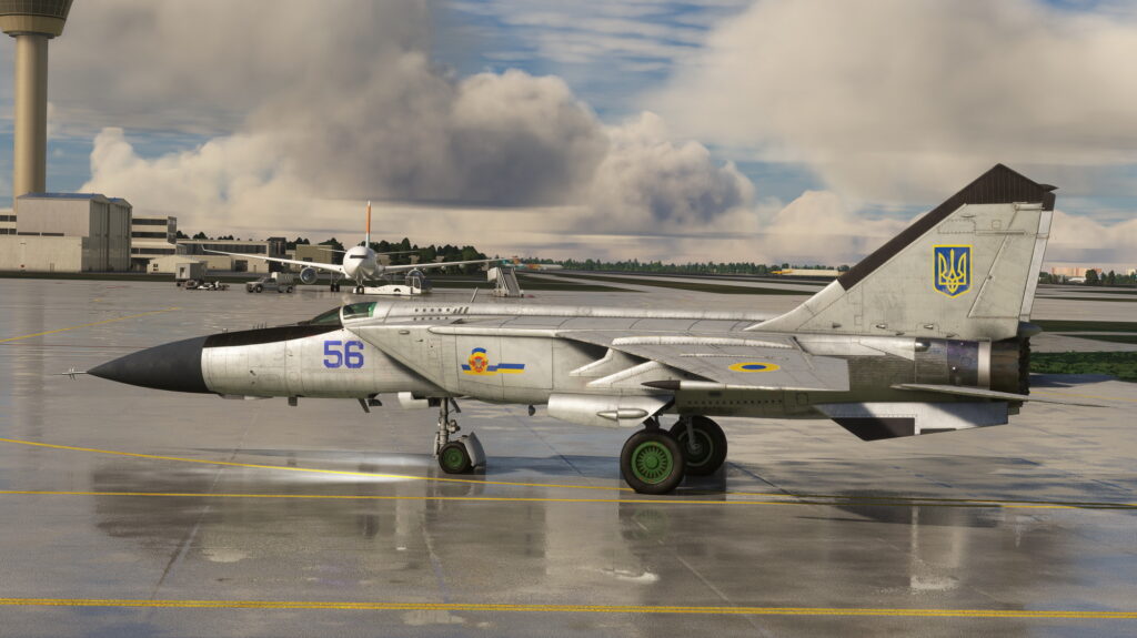 MiG-25Foxbat_screenshot_65